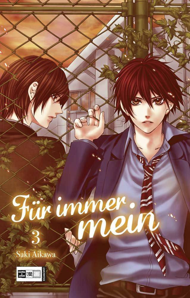 Für immer mein - Band 3 (Gebraucht)