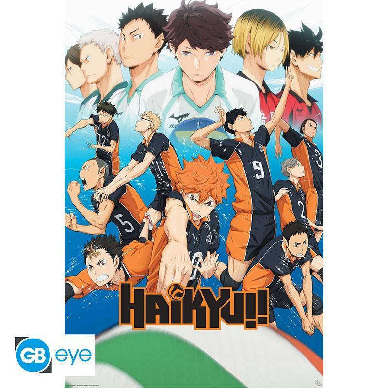 Haikyu!! - Poster Staffel 1 Teams - 91,5 x 61 cm