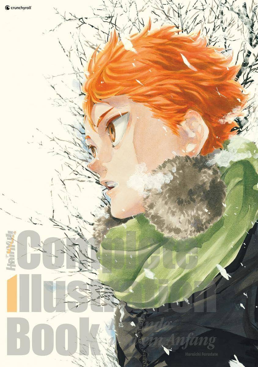 Haikyu!! - Complete Illustration Book - Ein Ende und ein Anfang (Gebraucht)