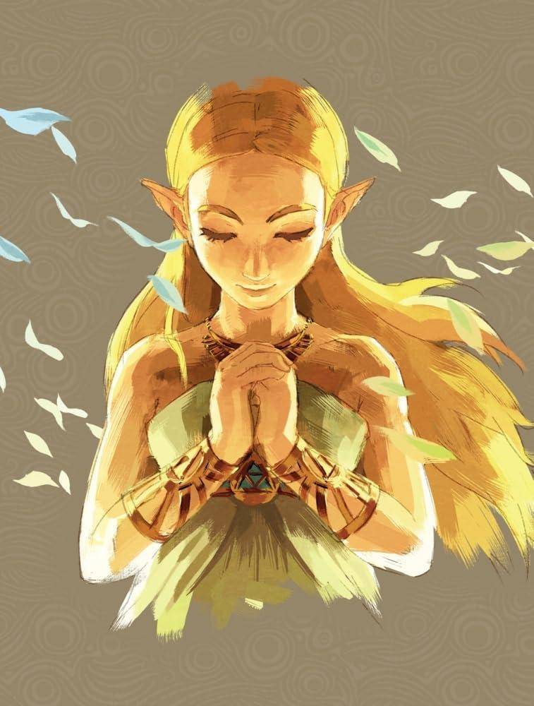 The Legend Of Zelda Breath Of The Wild - Lösungsbuch Hardcover Collectors Edition (Gebraucht)