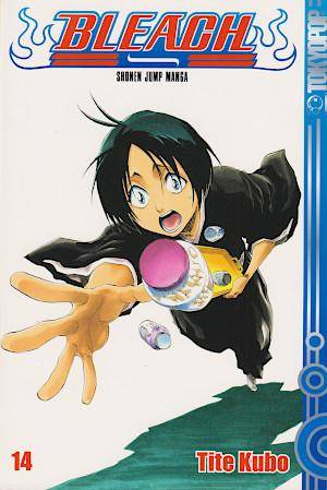Bleach - Band 14 (Gebraucht)