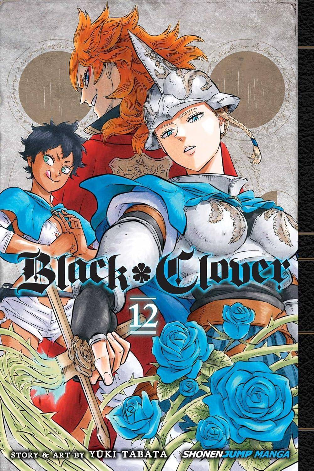 Black Clover - Band 12 - Englisch (Gebraucht)