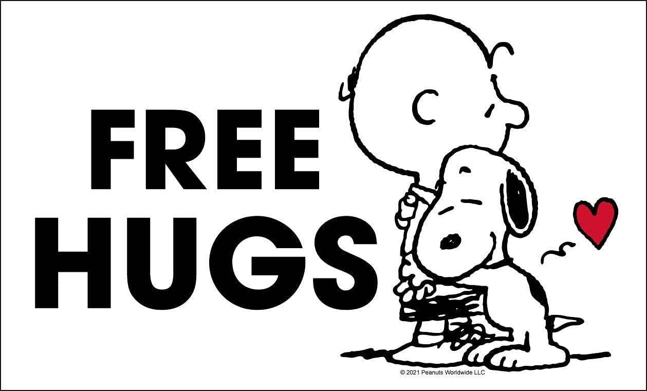 Peanuts - Edelstahl Trinkflasche Umarmung - 500 ml