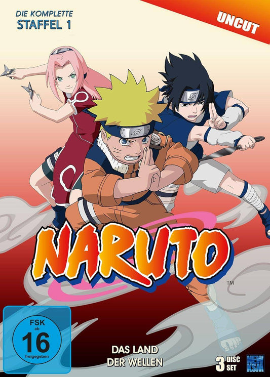 Naruto - Die komplette Staffel 1 - DVD (Gebraucht)