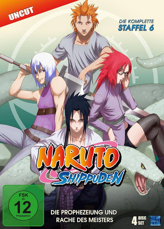 Naruto Shippuden - Die komplette Staffel 6 - DVD (Gebraucht)