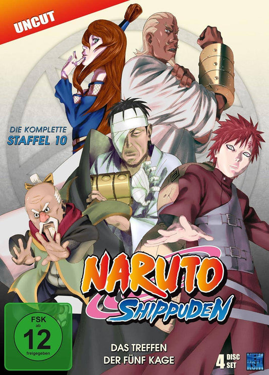 Naruto Shippuden - Die komplette Staffel 10 - DVD (Gebraucht)