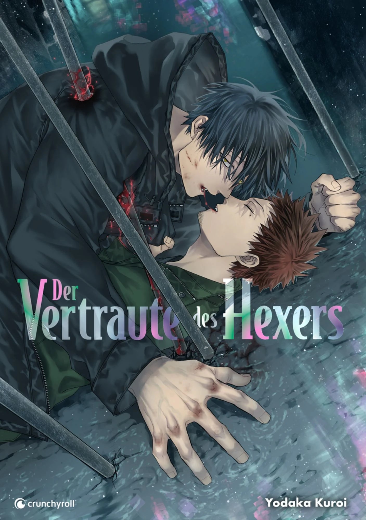 Der Vertraute des Hexers (Gebraucht)