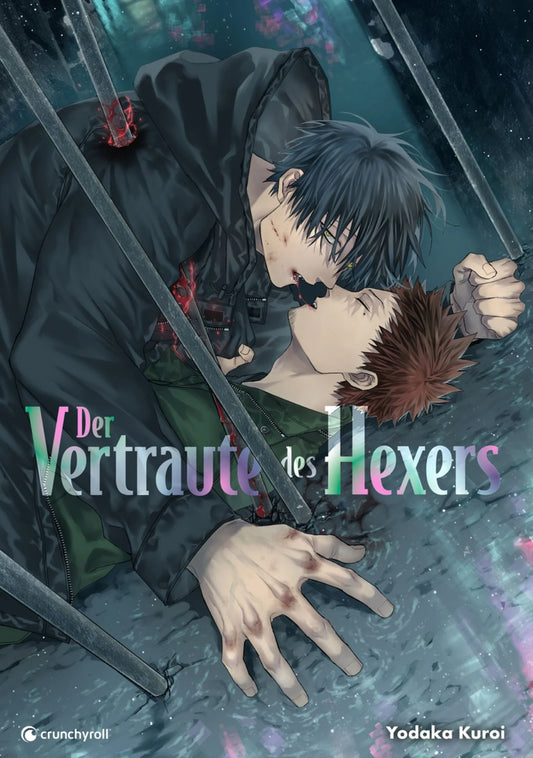 Der Vertraute des Hexers (Gebraucht)