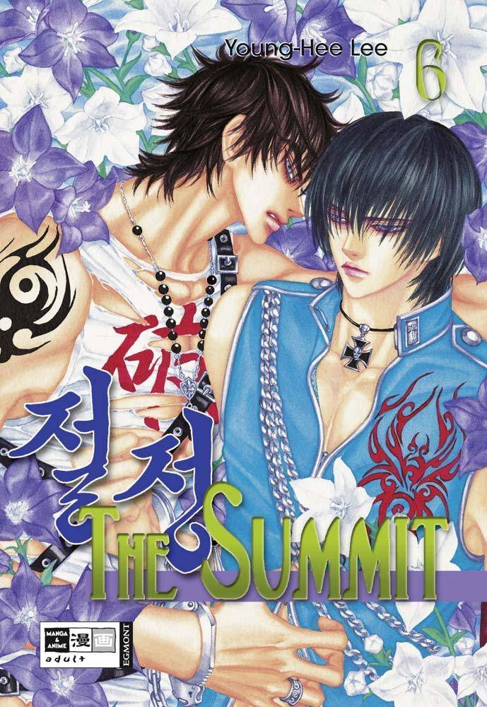 The Summit - Band 6 (Gebraucht)