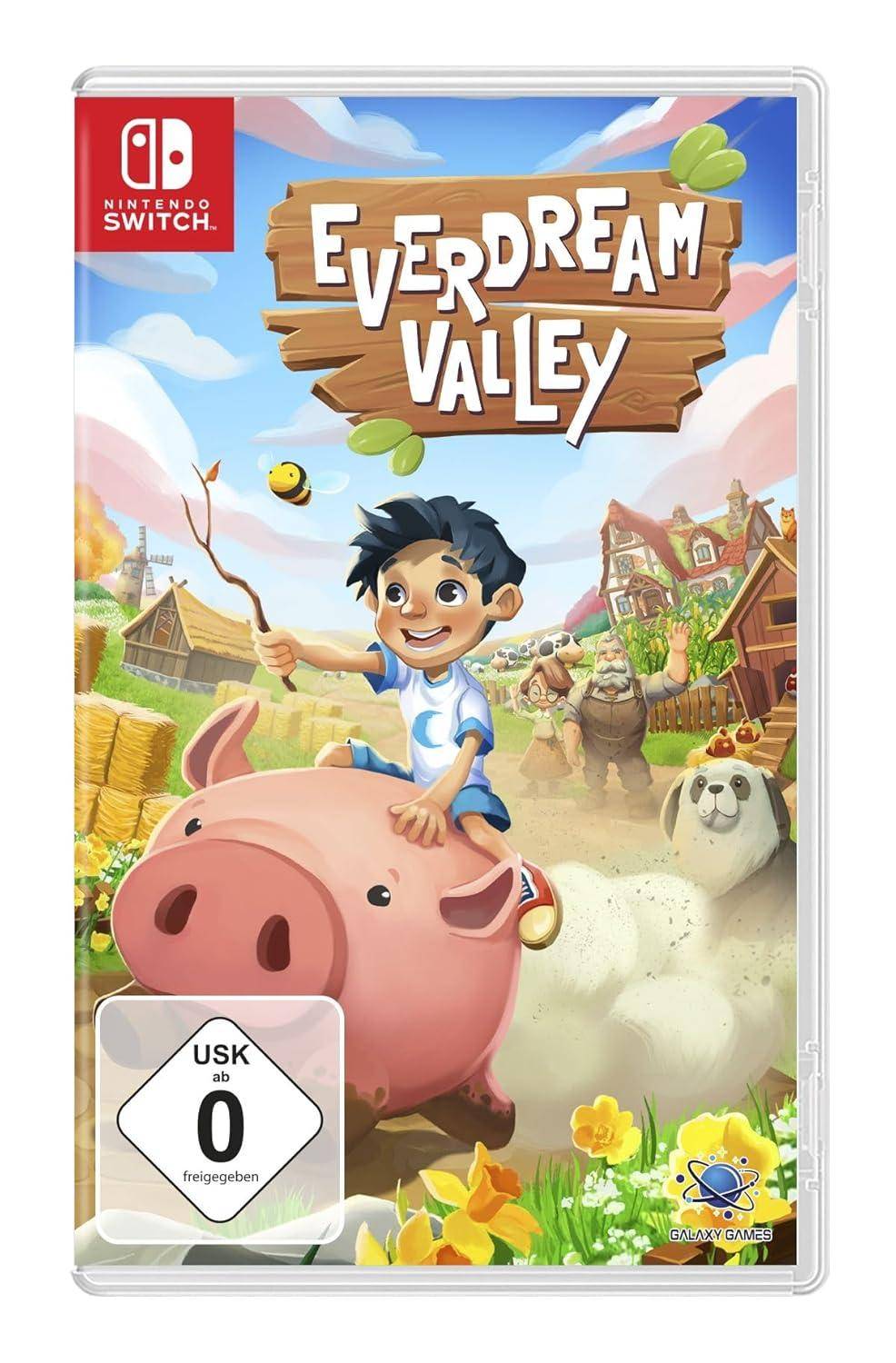 Switch - Everdream Valley (Gebraucht)