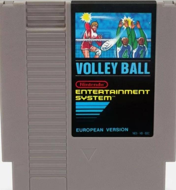 NES - Volleyball - Nur Modul (Gebraucht)