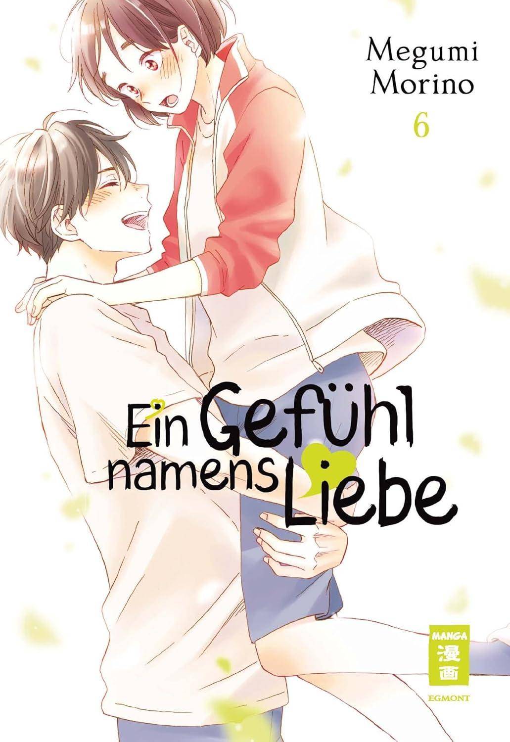 Ein Gefühl namens Liebe - Band 6 (Gebraucht)