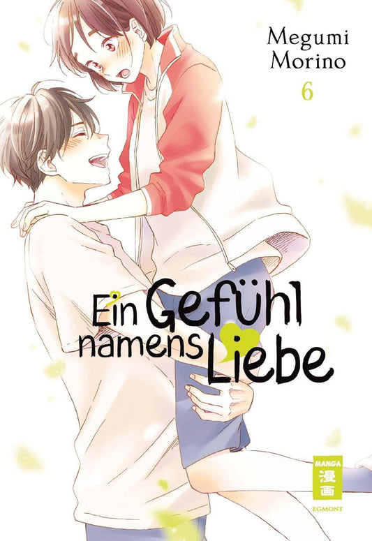 Ein Gefühl namens Liebe - Band 6 (Gebraucht)