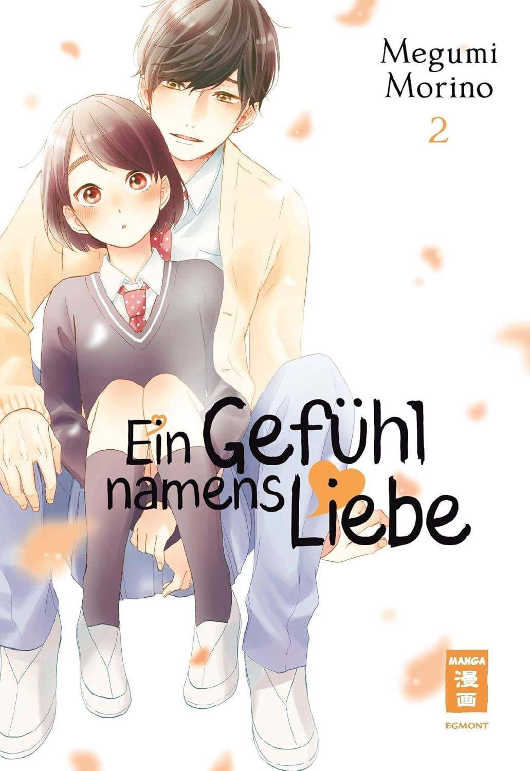 Ein Gefühl namens Liebe - Band 2 (Gebraucht)