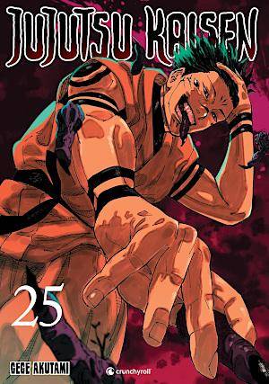 Jujutsu Kaisen - Band 25 (Gebraucht)