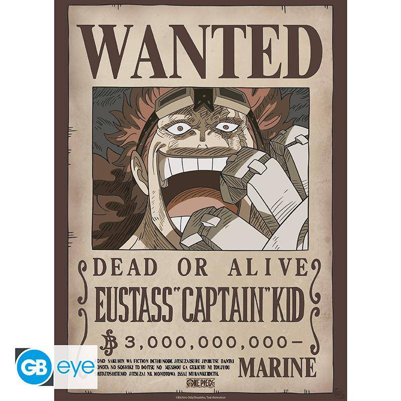 One Piece - Poster Doppelpack Law & Eustass - 52 x 38 cm