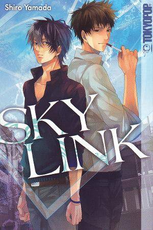 Sky Link (Gebraucht)
