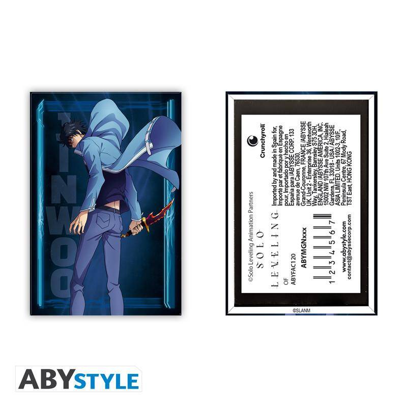 Solo Leveling - Magnet Jinwoo 5,5 x 8 cm