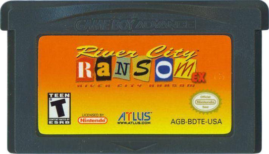 GBA - River City Ransom Ex - Nur Modul (Gebraucht)