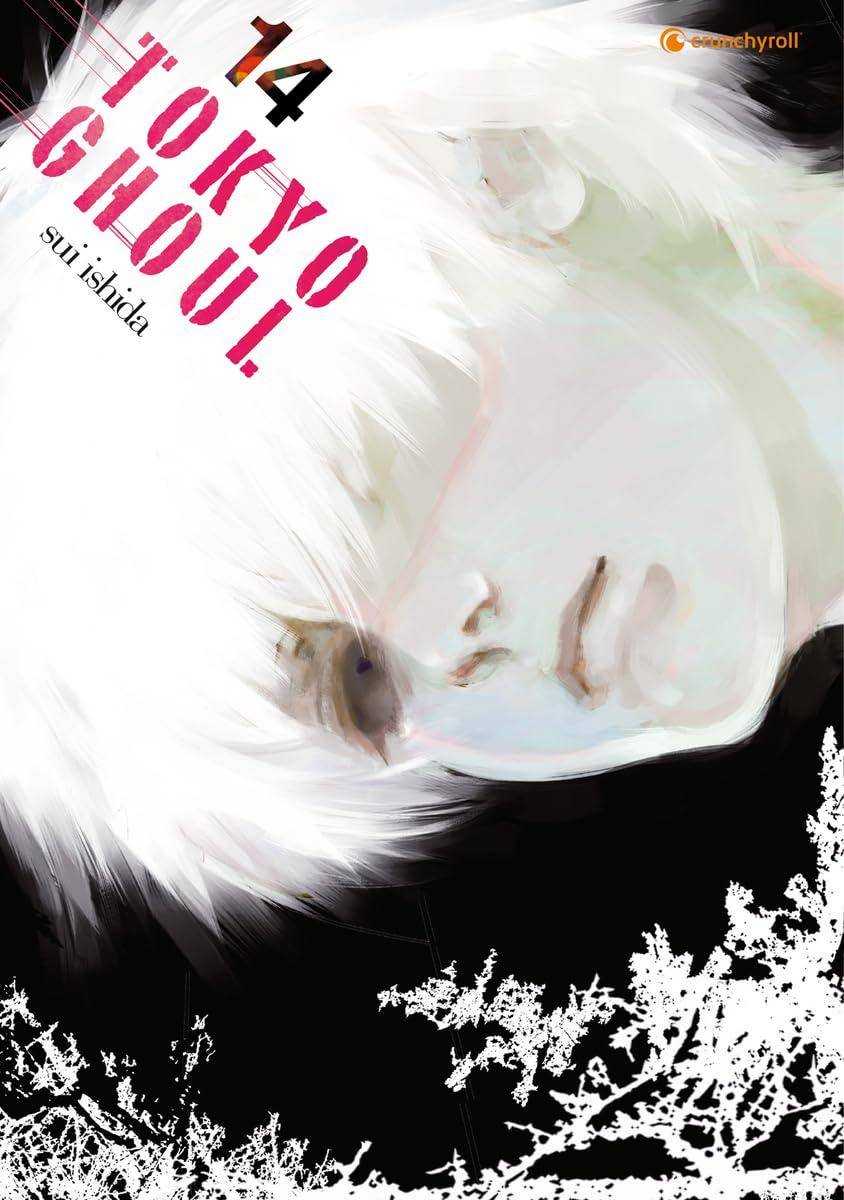 Tokyo Ghoul - Band 14 (Gebraucht)
