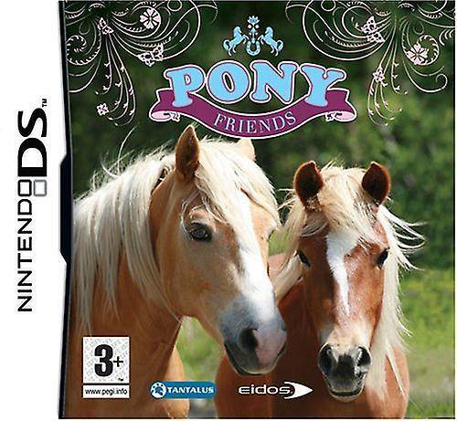 DS - Pony Friends - Nur Modul (Gebraucht)