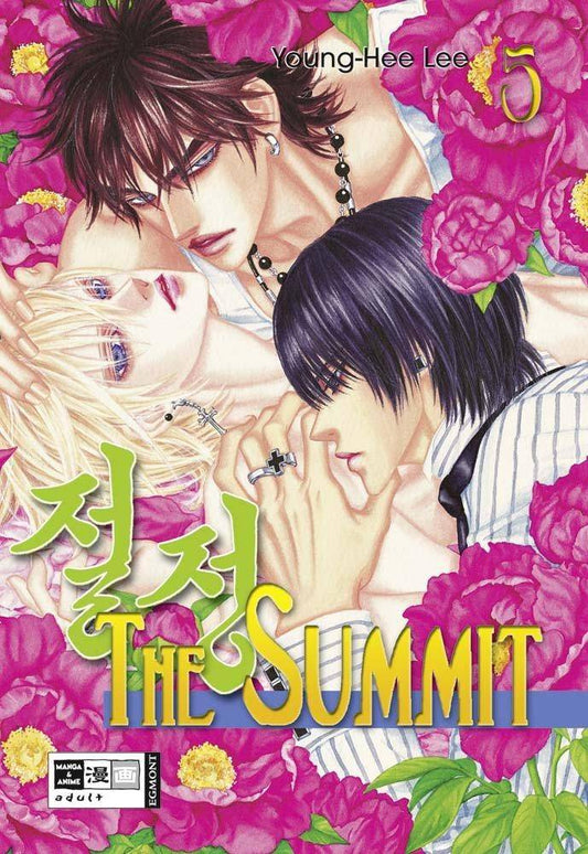 The Summit - Band 5 (Gebraucht)