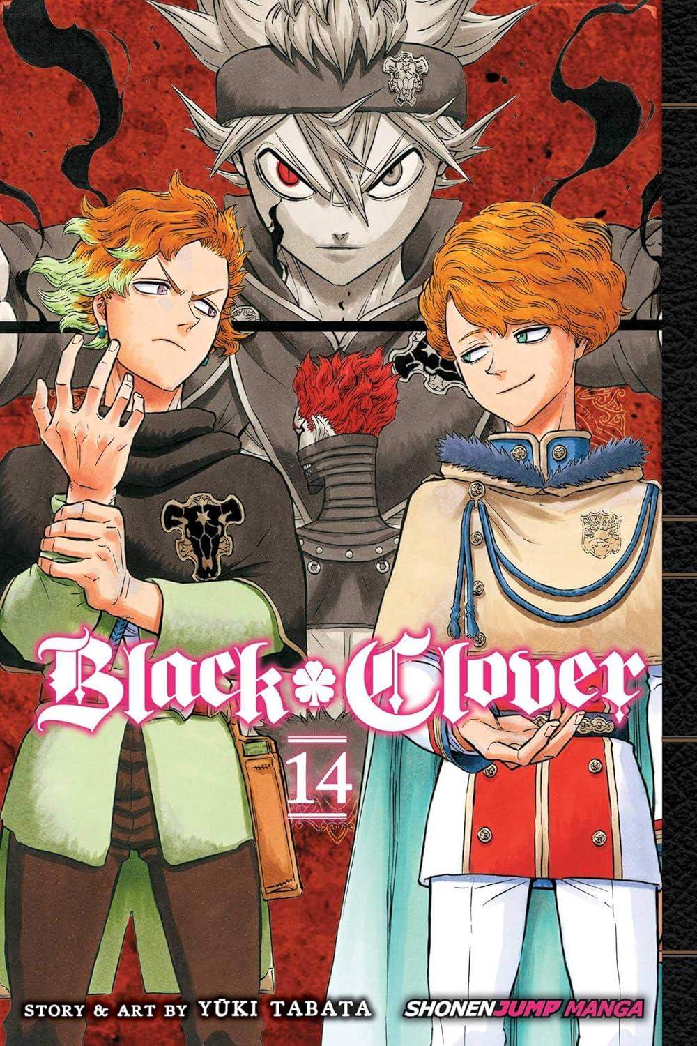 Black Clover - Band 14 - Englisch (Gebraucht)