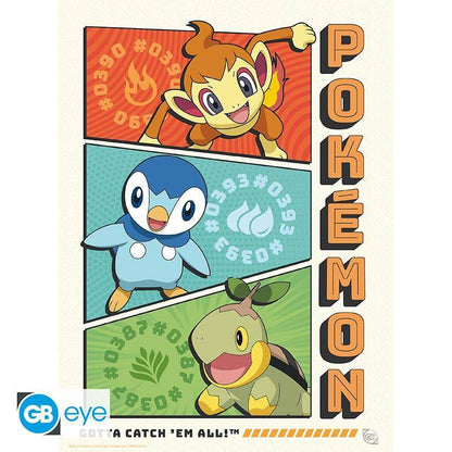 Pokémon - Poster Multipack Starter 21 x 29,7 cm