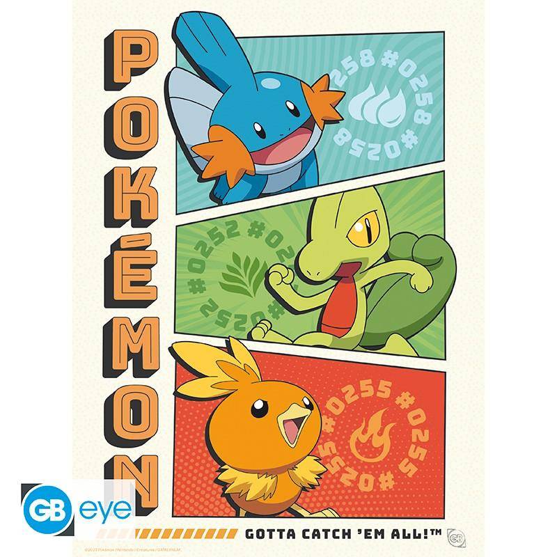 Pokémon - Poster Multipack Starter 21 x 29,7 cm