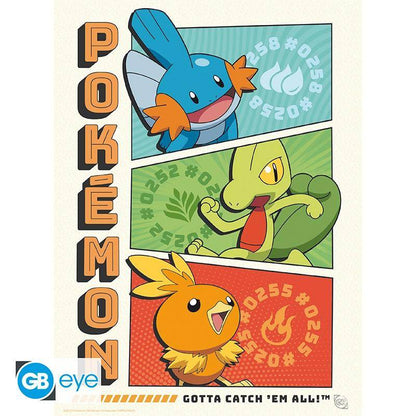 Pokémon - Poster Multipack Starter 21 x 29,7 cm