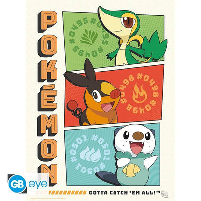Pokémon - Poster Multipack Starter 21 x 29,7 cm
