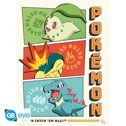 Pokémon - Poster Multipack Starter 21 x 29,7 cm