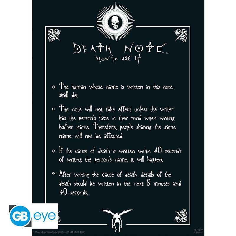 Death Note - Poster Doppelpack Anleitung & L - 52 x 38 cm