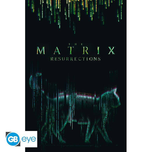Matrix - Poster Katze - 91,5 x 61 cm
